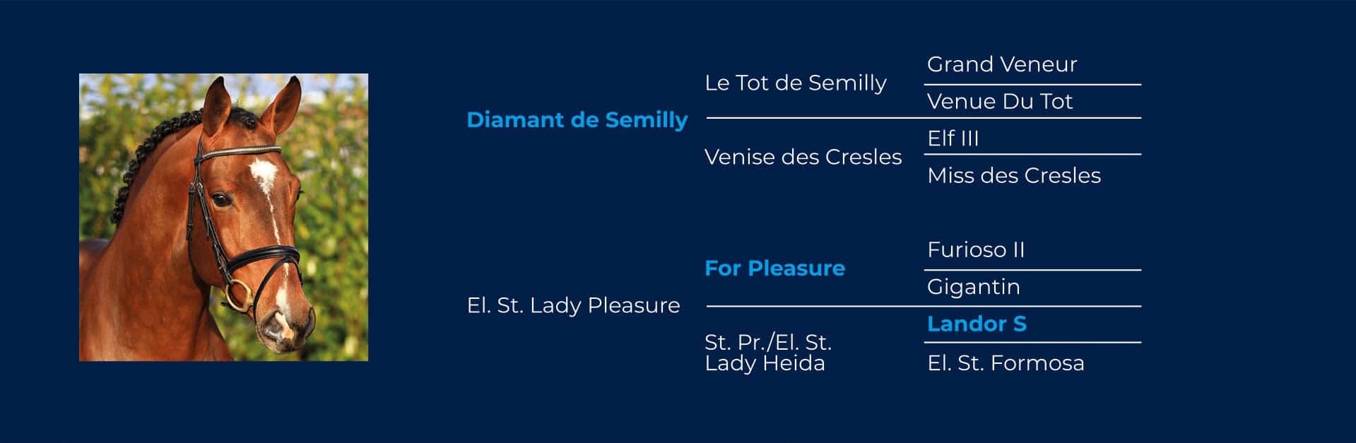 Bild und Stammbaum von Diamant de Plaisir